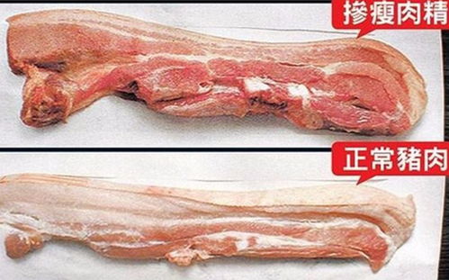 毒羊肉遭315曝光,瘦肉精添加竟长达10年,大量食用可致死亡