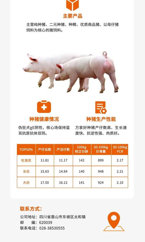 万家好总裁叶本林24年专注种猪繁育最新测定平均140日龄100公斤硕腾