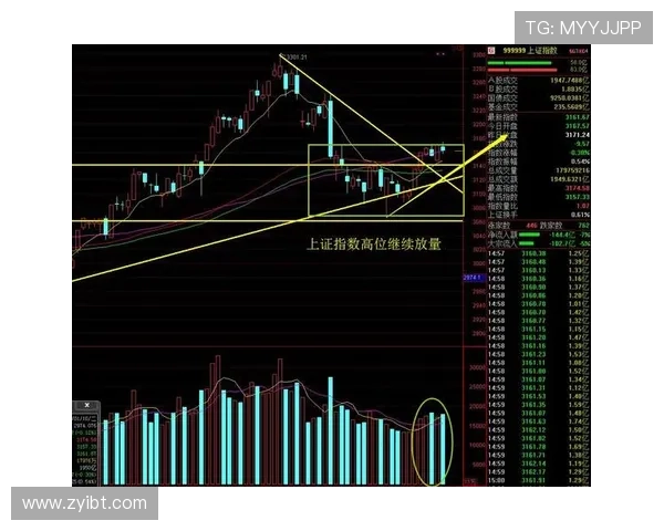 杭州羽毛球队与武汉羽毛球队赛后复盘分析比赛节奏与战术对比