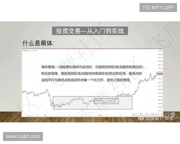 深入分析重庆排球队防反战术的独特魅力与实战应用 深入分析重庆排球队防反战术的独特魅力与实战应用