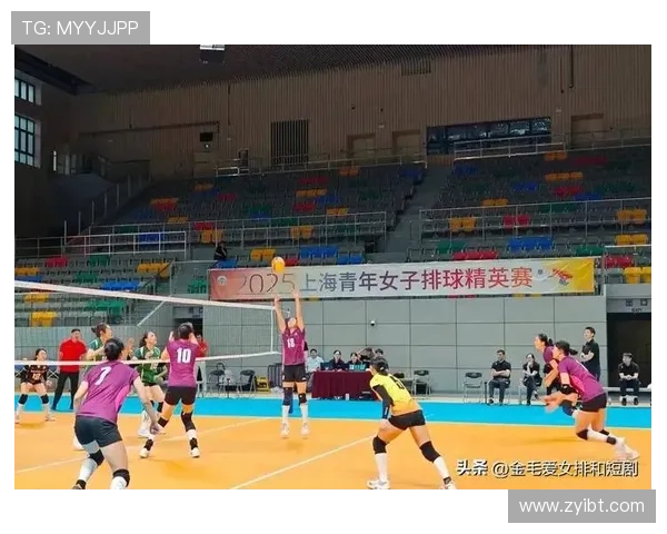 武汉排球队的崛起与发展探秘排球运动的力量与激情